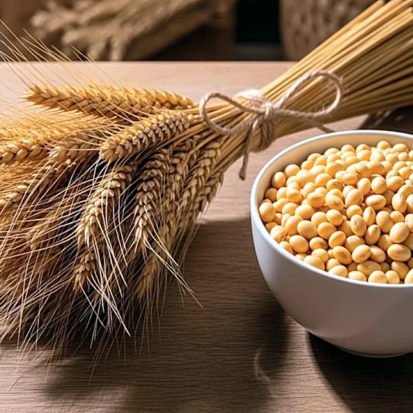China's $17 Billion Annual Agricultural Purchase Agreement with U.S. Extends Through 2028