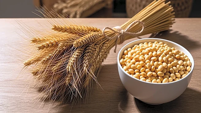 China's $17 Billion Annual Agricultural Purchase Agreement with U.S. Extends Through 2028