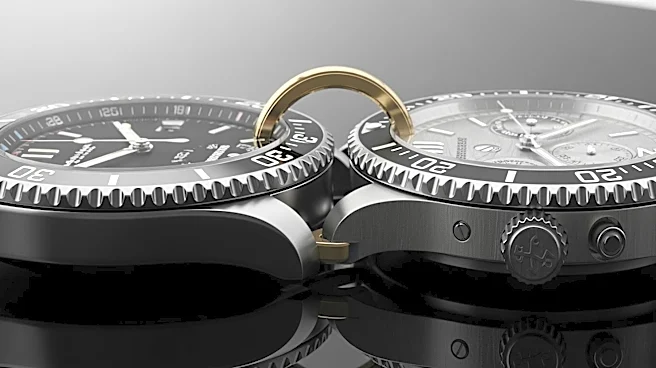 Swatch and Audemars Piguet Collaboration Causes Global Retail Frenzy