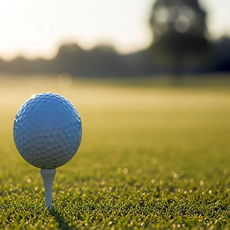 Aaron Rai Withdraws from Byron Nelson Following PGA Championship Win