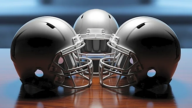 Carolina Panthers Rely on Existing Tight-End Trio for 2026 Season Amidst Injuries