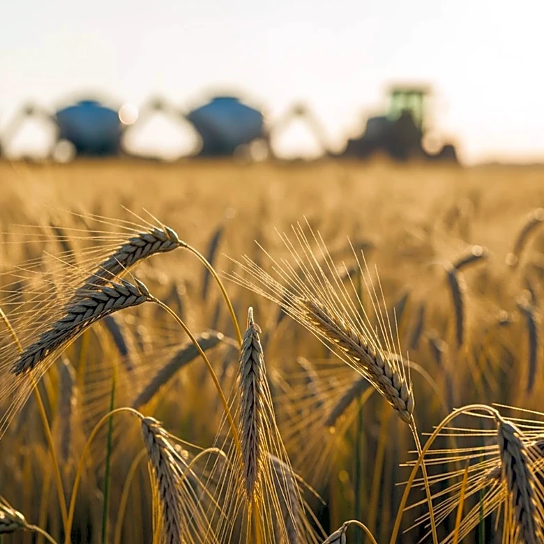 China's $17 Billion Annual Commitment to U.S. Agriculture Boosts Industry Prospects