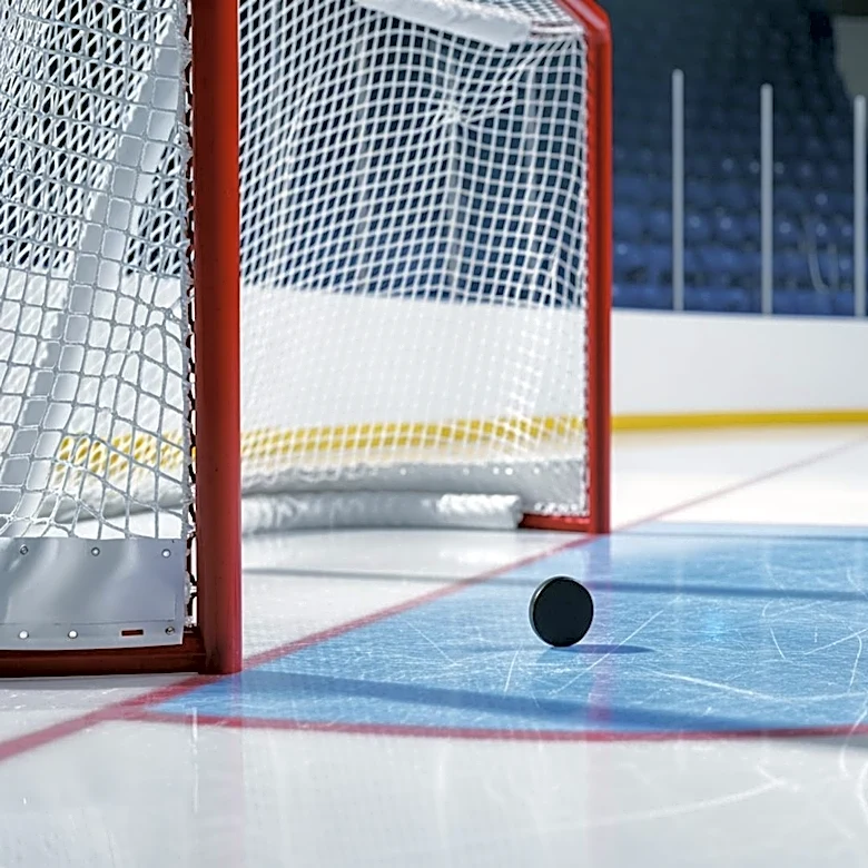 Buffalo Sabres Eliminated from NHL Playoffs by Montreal Canadiens Due to Key Failures