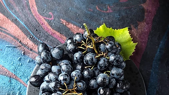 Daily Grape Consumption Linked to Enhanced Skin Protection