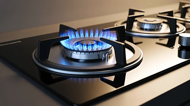 Consumer Reports Names LG as Top Gas Stove Brand, Surpassing Wolf and GE