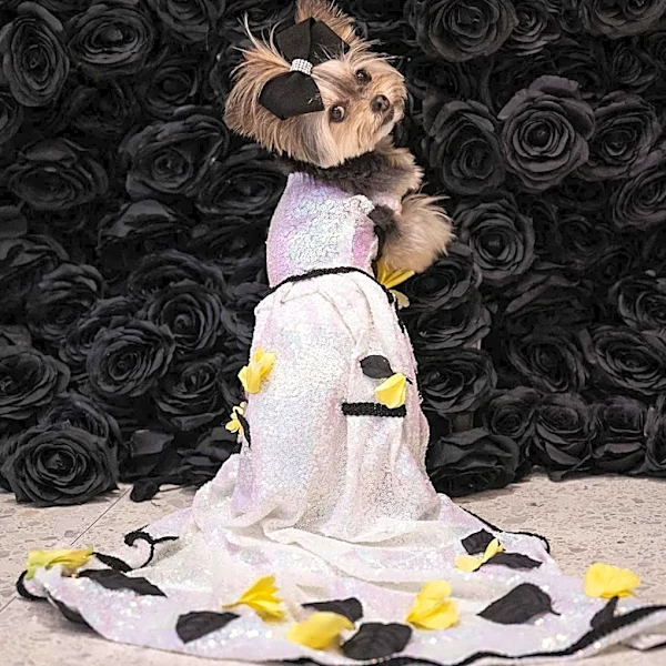 NYC Pet Gala 2026: Dogs Dazzle in Met Gala-Inspired Couture