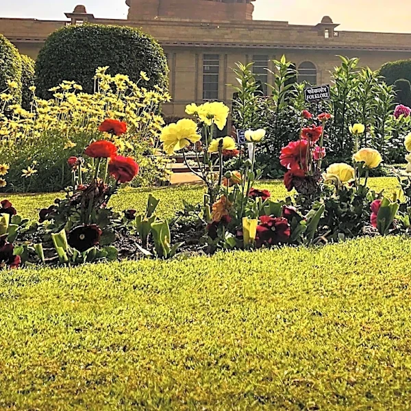 Journey Beyond's Indian Pacific-Inspired Garden Wins Silver at Chelsea Flower Show