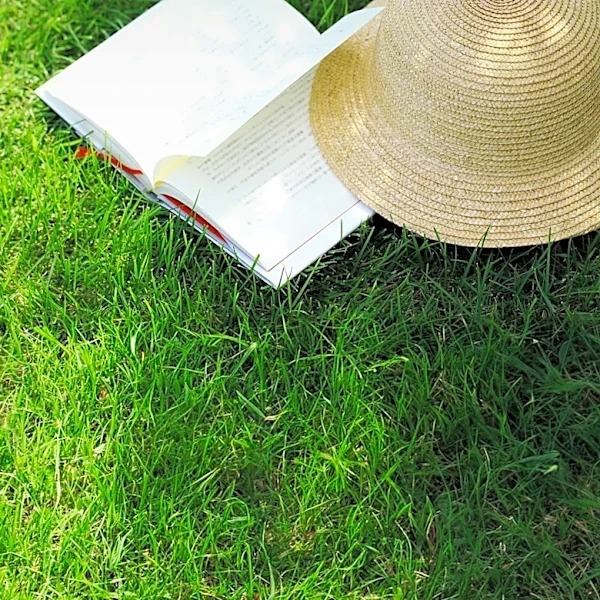 Bryant Park to Host 'Read on the Lawn Day' for Book Enthusiasts
