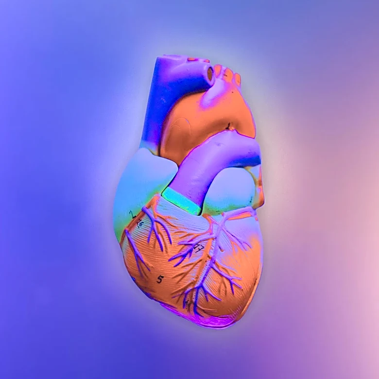 Immersive Art Exhibit 'Hospital of Emotions' Transforms Shuttered L.A. Hospital
