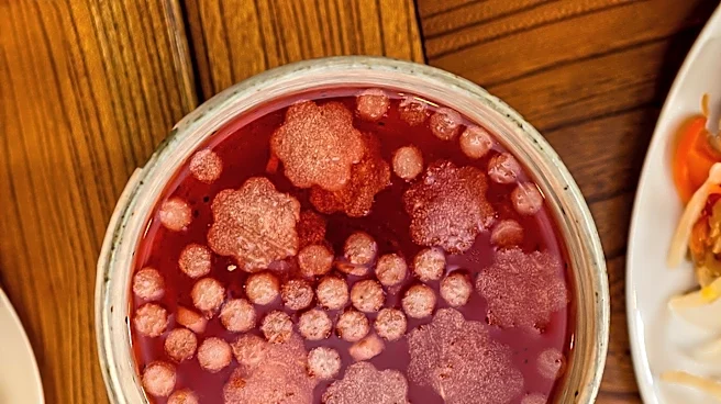 Michelin Guide Adds Seven New Bay Area Restaurants, Highlighting Diverse Culinary Offerings
