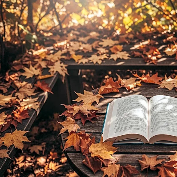 NPR Critics Highlight Anticipated Summer Reads, Emphasizing Diverse Narratives