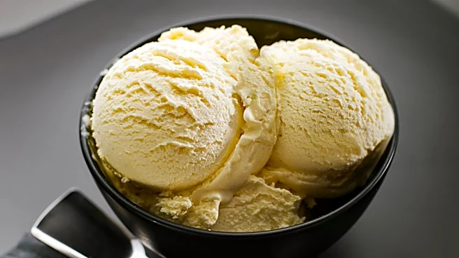 Ninja Creami vs. Competitors: Evaluating Ice Cream Makers for Texture and Versatility