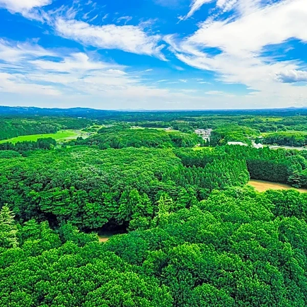 Foxfield Preserve Offers Tours to Educate on Conservation Burial Practices