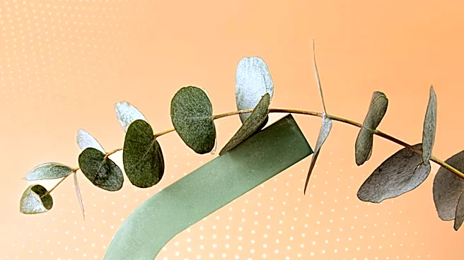 Tula Eye Balm Gains Popularity for Anti-Aging Benefits Among Older Adults