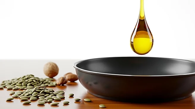 Stolon Superfoods Launches Seed Oil Free Fry Platform at National Restaurant Show