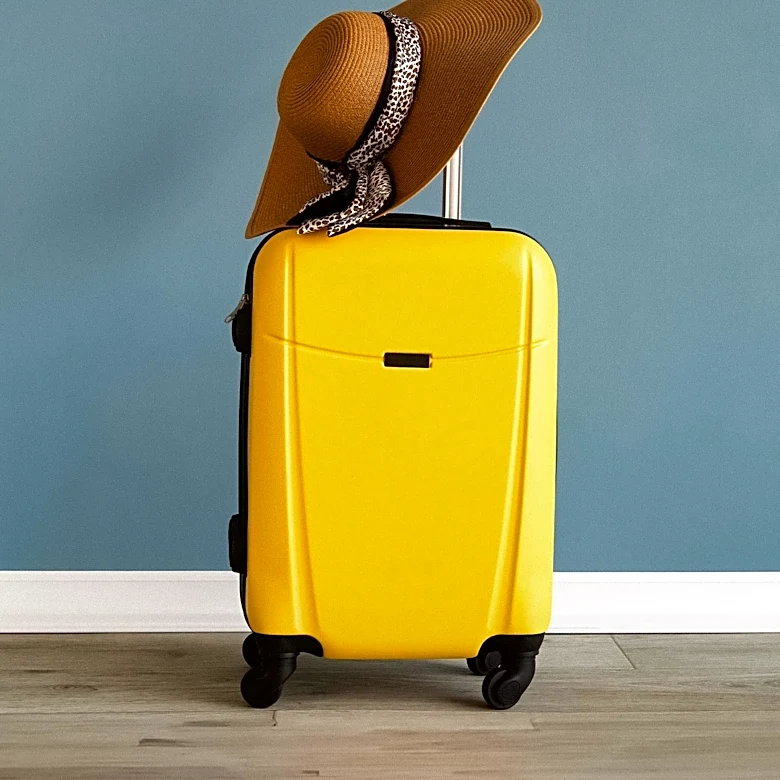 Expedia Group Reports Surge in Domestic Travel Demand for Summer 2026