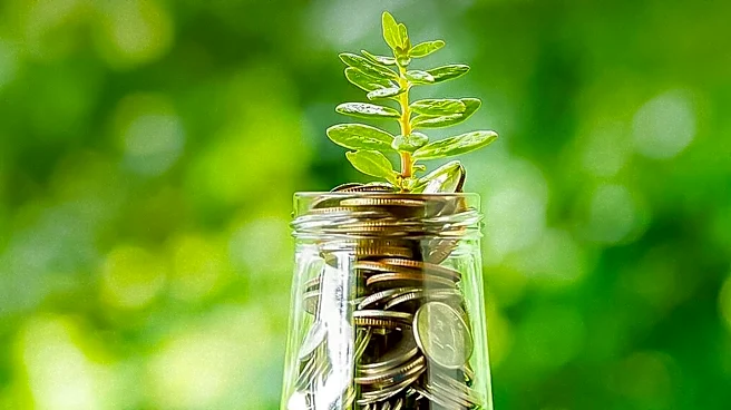 Money Expert Andrea Woroch Offers Tips for Spring Cleaning Your Finances