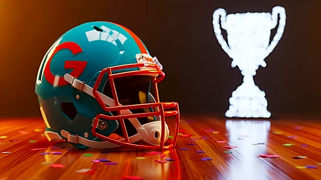 Miami Dolphins Fans Celebrate Personal and Team Achievements in Weekly Discussion