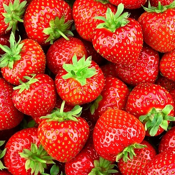 Perkins Revives Strawberry Freshtival to Promote Fresh Produce