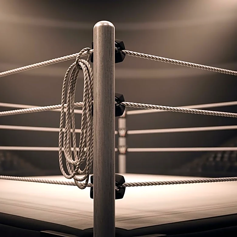 Mercedes Martinez Announces Retirement from Pro Wrestling