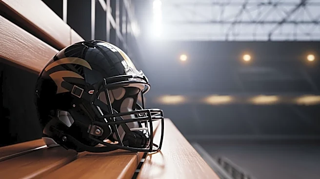 Pittsburgh Steelers Enhance Offense with Key Additions for 2026 Season