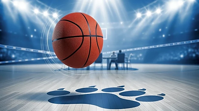 Natasha Howard Leads Minnesota Lynx to Victory Over Chicago Sky