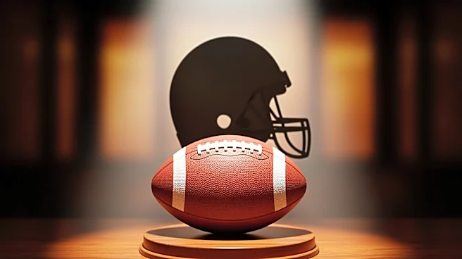 NFL.com Writer Advocates for Chicago Bears Legends Briggs and Tillman in Hall of Fame