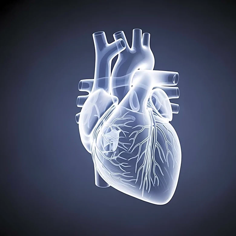 VOKA Wins Gold at Hermes Creative Awards for Medical Visualization