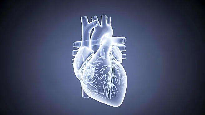 VOKA Wins Gold at Hermes Creative Awards for Medical Visualization