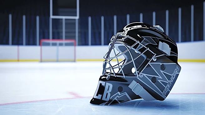 Canadiens Goalie Jakub Dobes Faces Unusual Challenge During Game