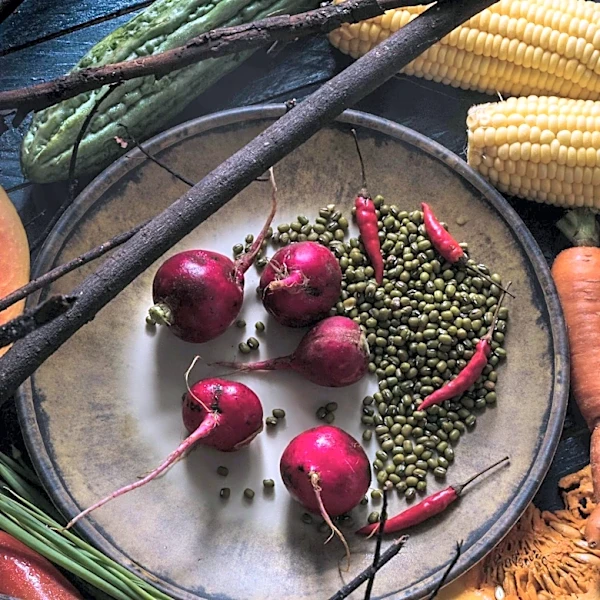 Natural History Museum of Utah Hosts Third Annual Food Fest, Showcasing Local Flavors and Educational Workshops