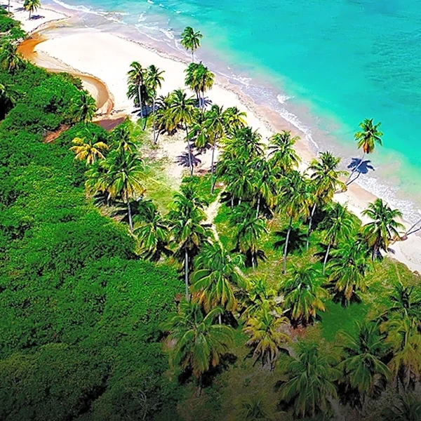 Travel and Tour World Identifies Top 30 Wellness Tourism Destinations in Americas and Caribbean for 2026