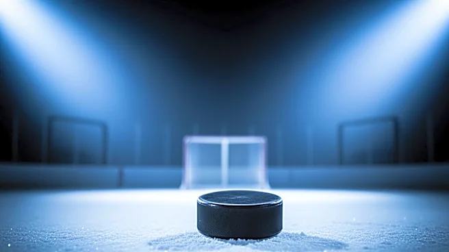 NHL Analysts Discuss Avalanche's Chances of Comeback in Western Conference Finals