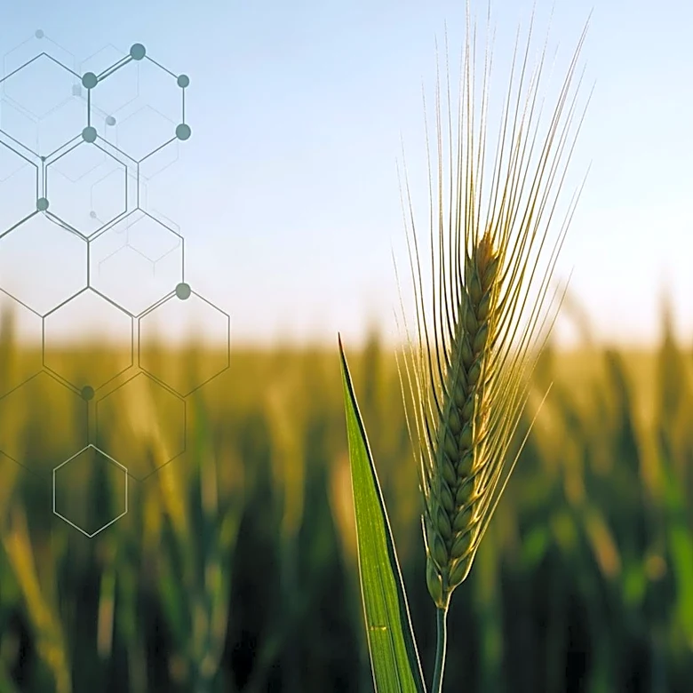 Wide Open Agriculture Renegotiates Curtin University License to Reduce Royalty Costs
