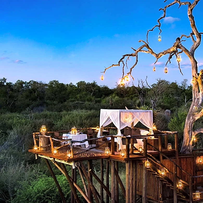 Singita's Conservation Efforts Highlight the Power of Purpose in Hospitality