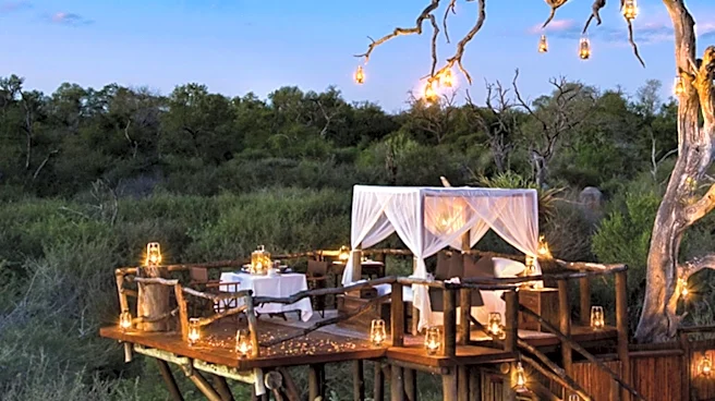 Singita's Conservation Efforts Highlight the Power of Purpose in Hospitality
