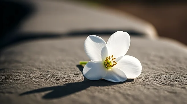 Flowers Foods Announces Cost-Cutting Measures Amid Challenging Market Conditions