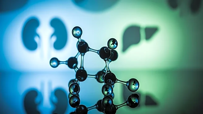 Arrowhead Pharmaceuticals Reveals Positive Data on Plozasiran for Patients with Renal and Hepatic Impairments