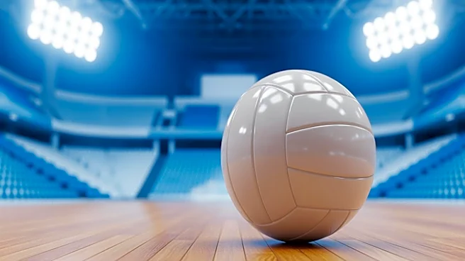 Los Angeles Secures New Major League Volleyball Team Amid Expanding Market