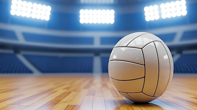 Los Angeles Secures Major League Volleyball Expansion Team Amid Growing Market