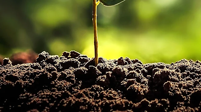Building Confidence: Strategies for Personal Growth and Self-Acceptance