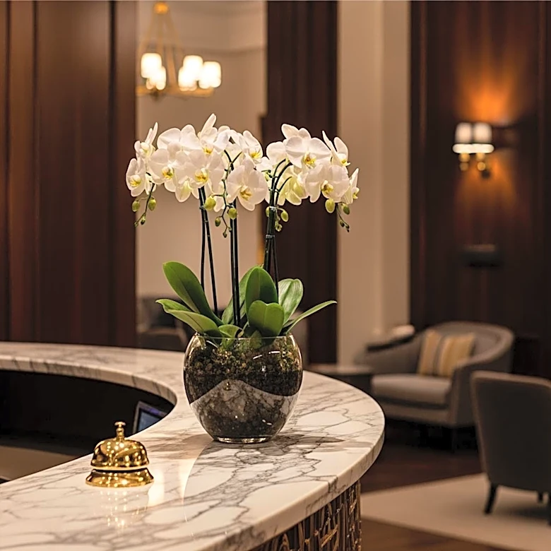 Stephane Mercier Appointed General Manager of Pendry Tampa, Enhancing Luxury Hospitality