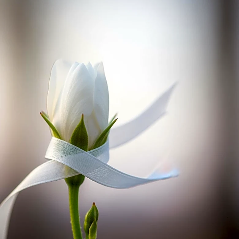Flowers Foods Announces Cost Control Measures Amid Soft Market Demand