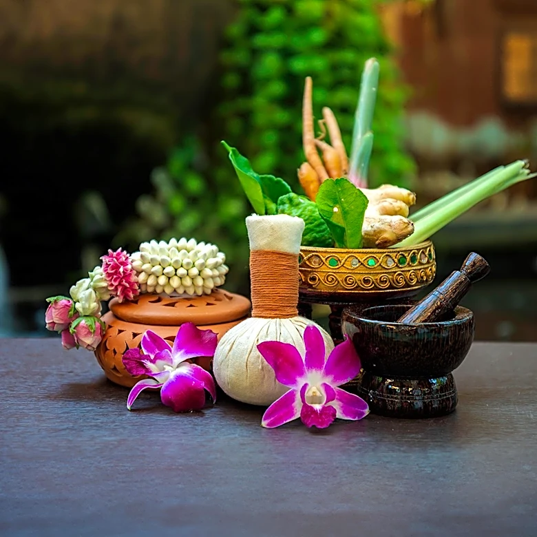 WITT Expands in Asia as Wellness Tourism Gains Momentum