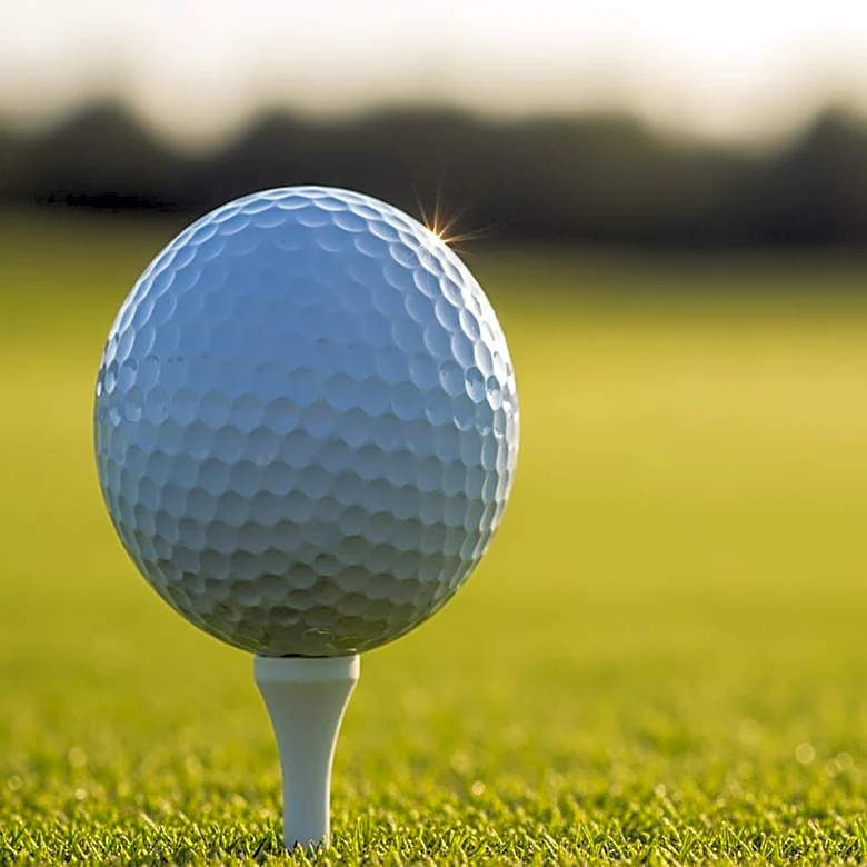 2026 Charles Schwab Challenge Odds and Predictions: Surprising Picks from Proven Model