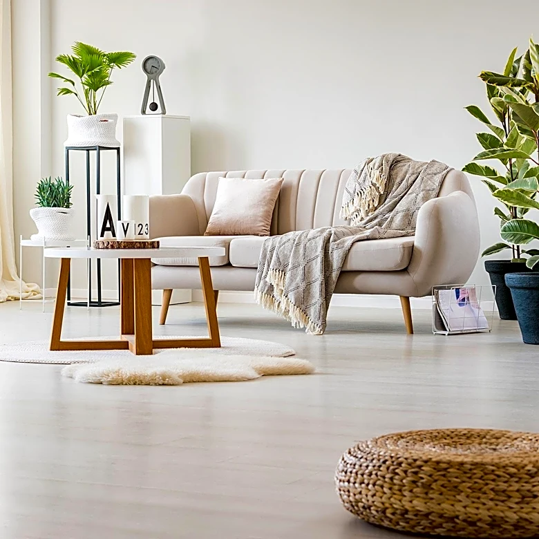 Essential Items for Setting Up Your First Apartment