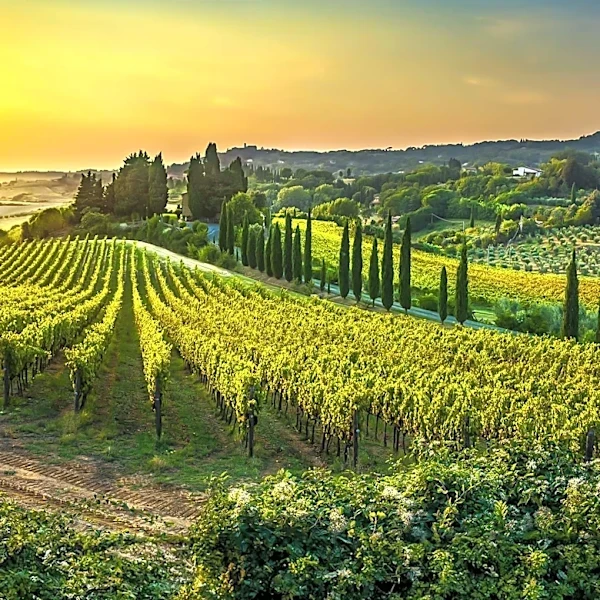 Adventure Travel Embraces Gastronomy and Wine Experiences