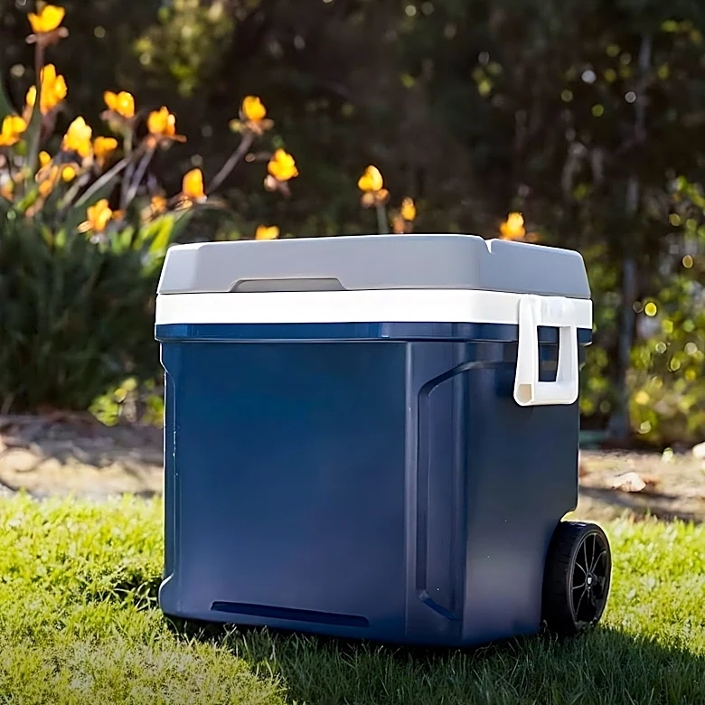 Ninja FrostVault Cooler Offers $50 Discount for Summer