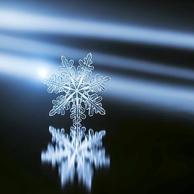 Snowflake Reports Record Growth in AI Capabilities and Revenue