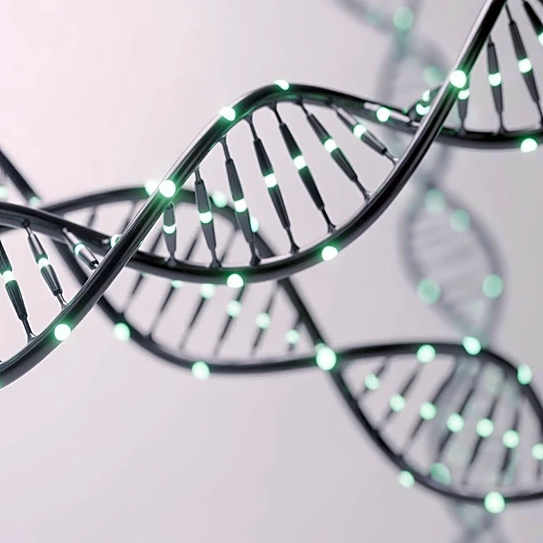 Ribo Submits Phase 2 Clinical Trial Application for siRNA Therapeutic in Coronary Artery Disease